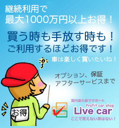 �p�����p�ł��ő�1000���~�ȏエ���I����������������������p����قǂ����ł��B